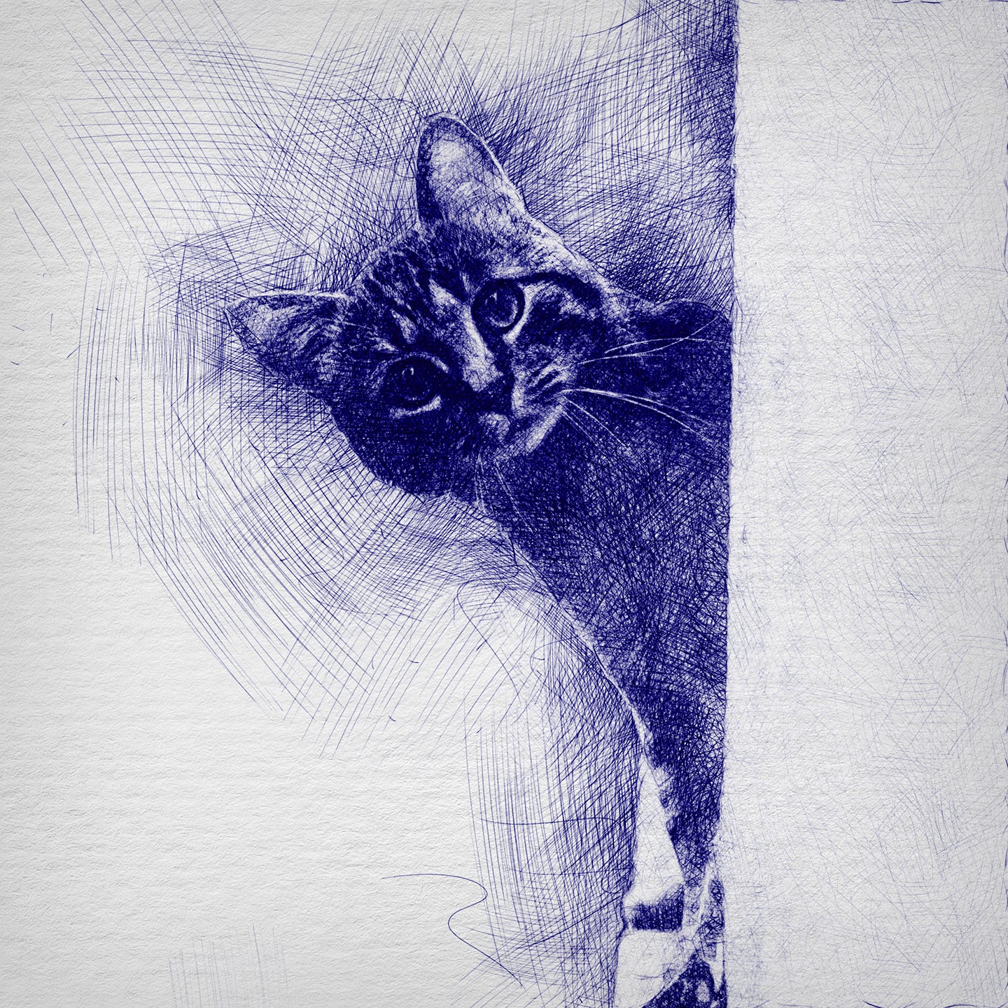 Digital Blue Pen Drawing example. A head of cat.