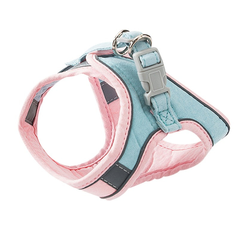 Product image, Pink and blue combination.