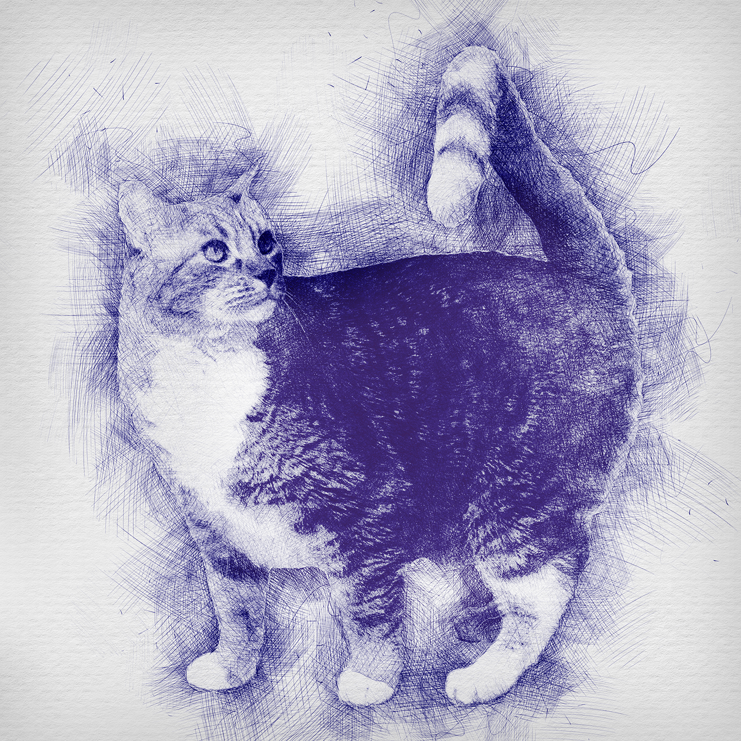 Digital Blue Pen Drawing example. A cat.