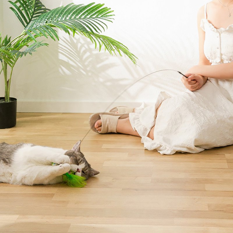 Product image, A cat, playing with the product.