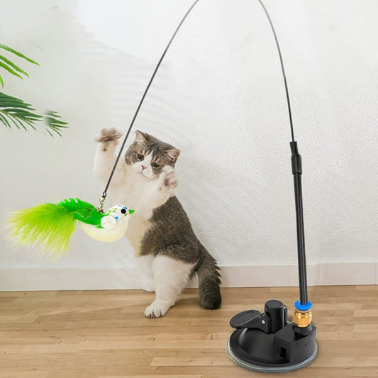 Product image, A cat, playing with the product.