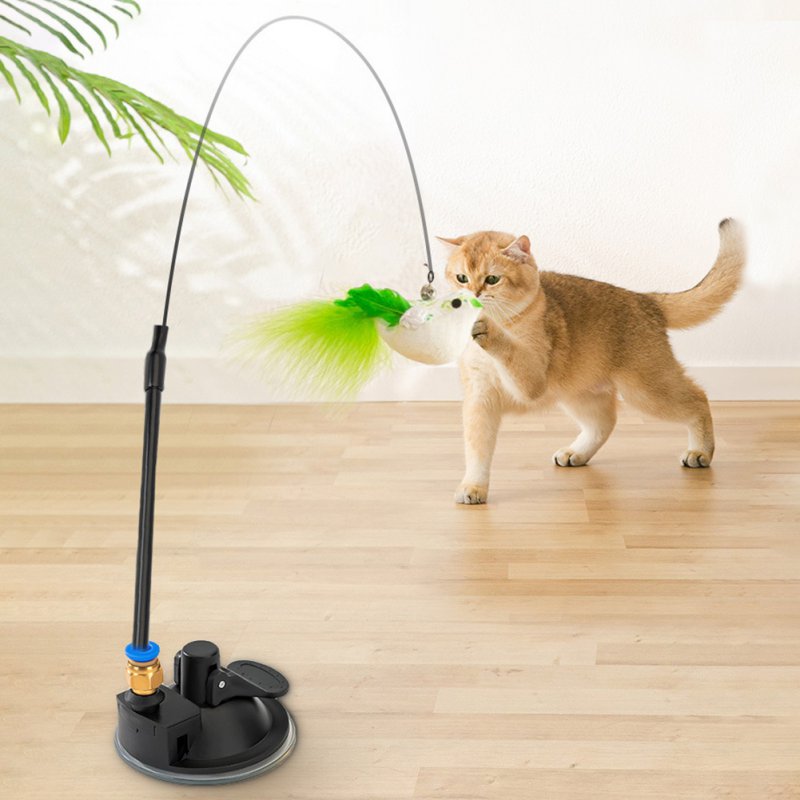 Product image, A cat, playing with the product.