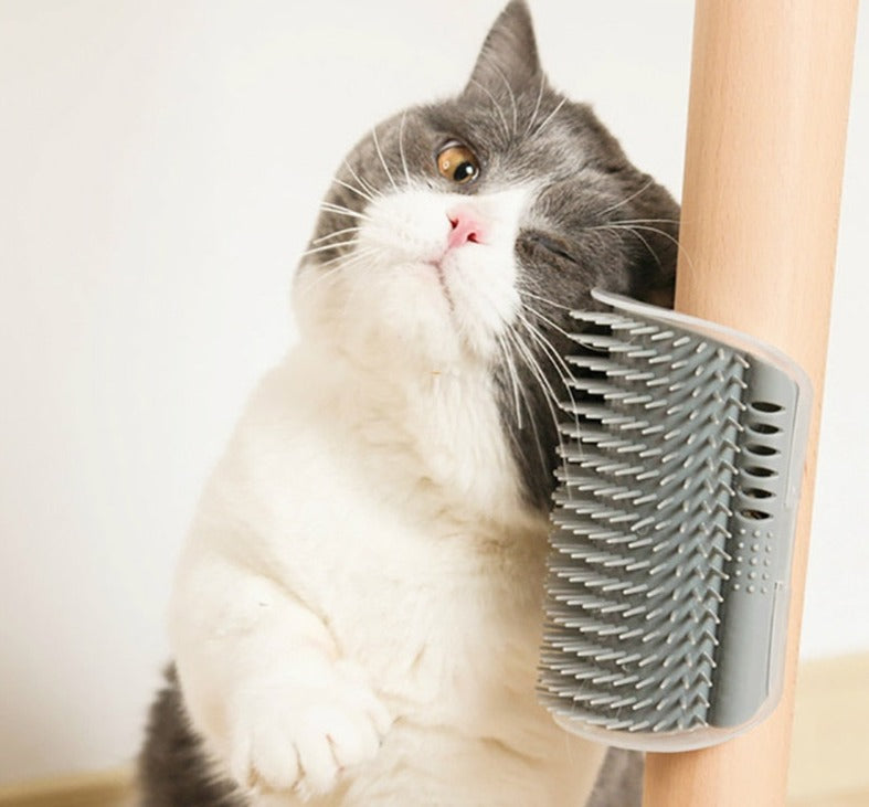 A cat with a gray color product. The cat is rubbing brush.